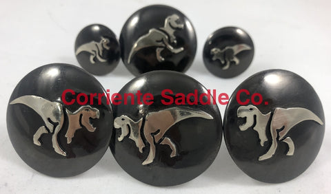 CBCONCH 126E Dinosaur Conchos