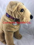 CSDOG 100 - Corriente Saddle