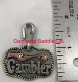 CSDOG 100 - Corriente Saddle