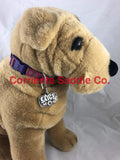 CSDOG 101 - Corriente Saddle