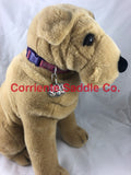 CSDOG 106 - Corriente Saddle